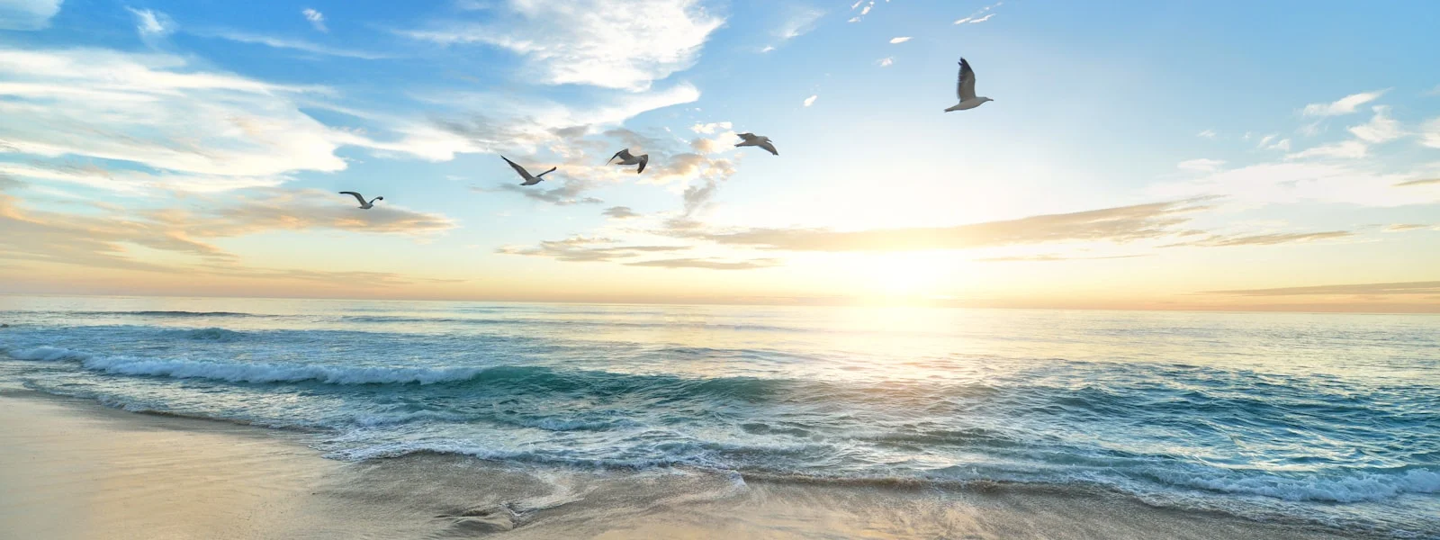 Sunset over calm ocean with palm trees
